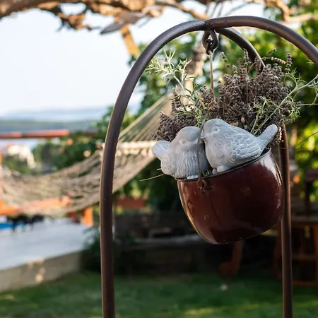 Villa Etno Matusanovi Dvori Banjol