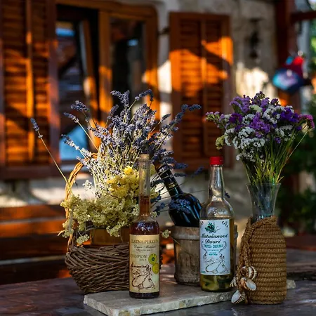 Etno Matusanovi Dvori Villa *