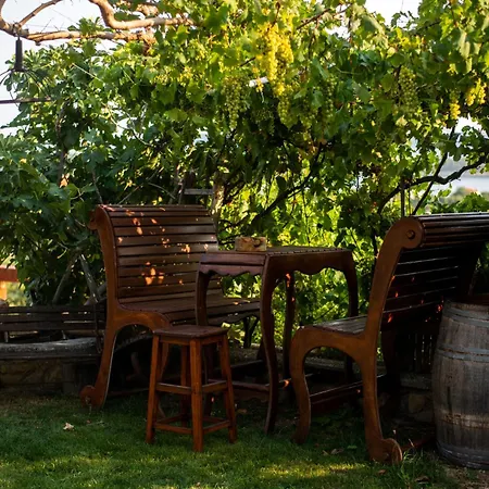 Etno Matusanovi Dvori Villa Banjol